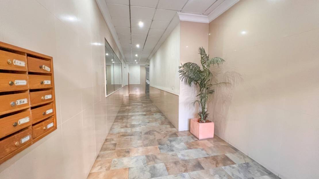 Venta - Apartment - Torrevieja - Torrevieja Centro