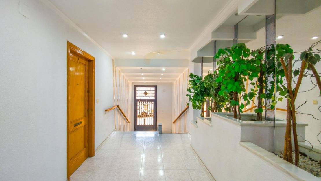 Venta - Apartment - Torrevieja - Torrevieja Centro