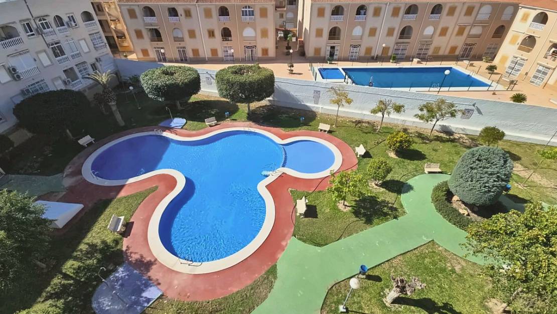Venta - Apartment - Torrevieja - Torrevieja Centro