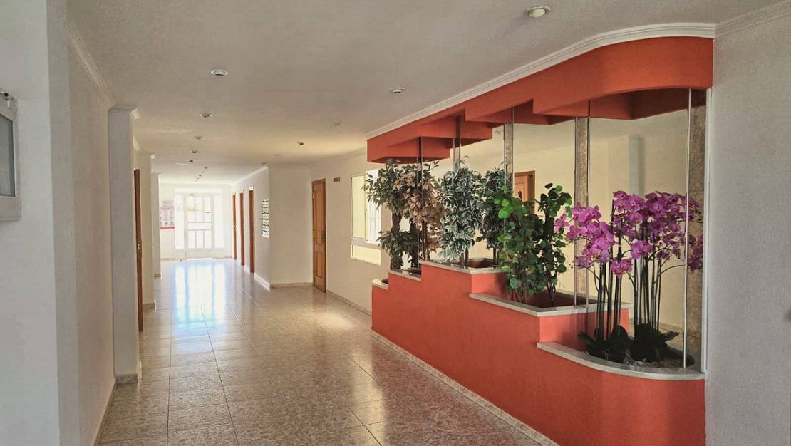 Venta - Apartment - Torrevieja - Torrevieja Centro