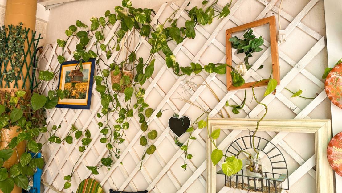 Venta - Apartment - Torrevieja - Torrevieja Centro