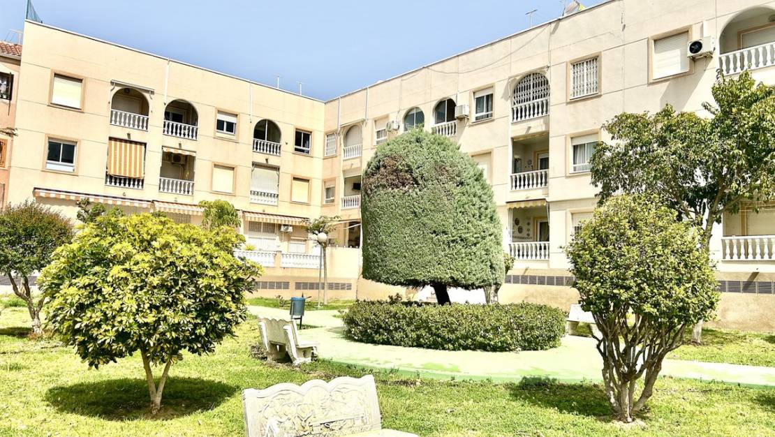 Venta - Apartment - Torrevieja - Torrevieja Centro