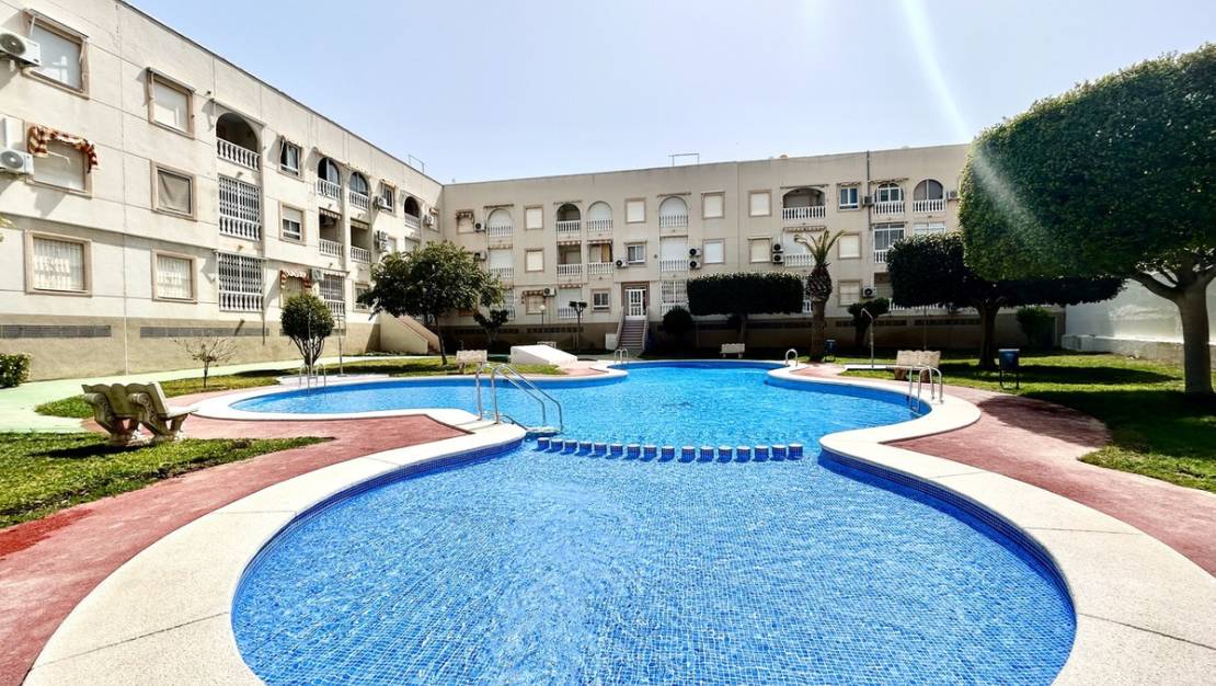 Venta - Apartment - Torrevieja - Torrevieja Centro