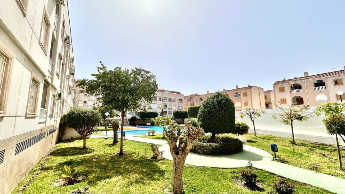 Venta - Apartment - Torrevieja - Torrevieja Centro