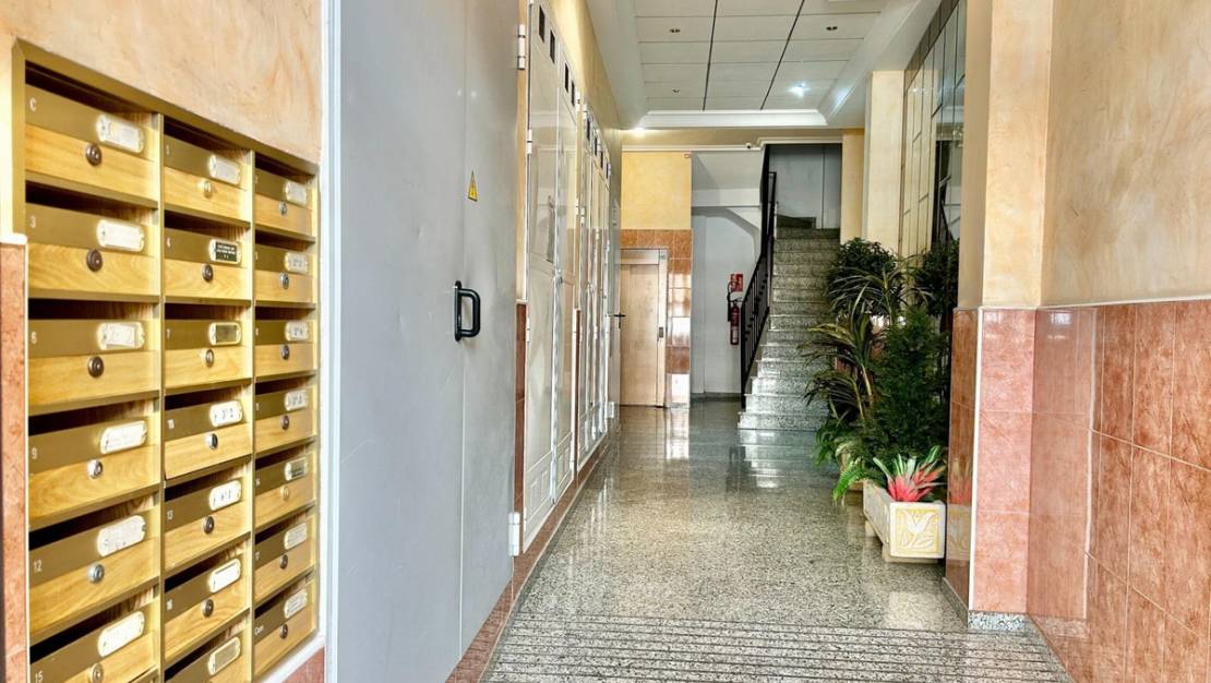 Venta - Apartment - Torrevieja - Torrevieja Centro