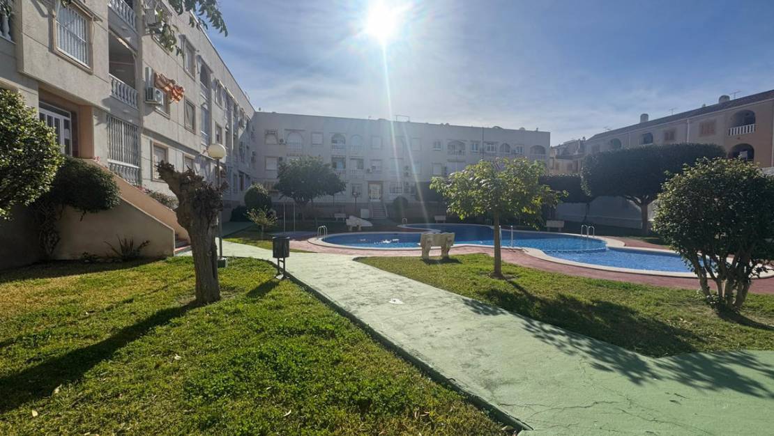 Venta - Apartment - Torrevieja - Torrevieja Centro