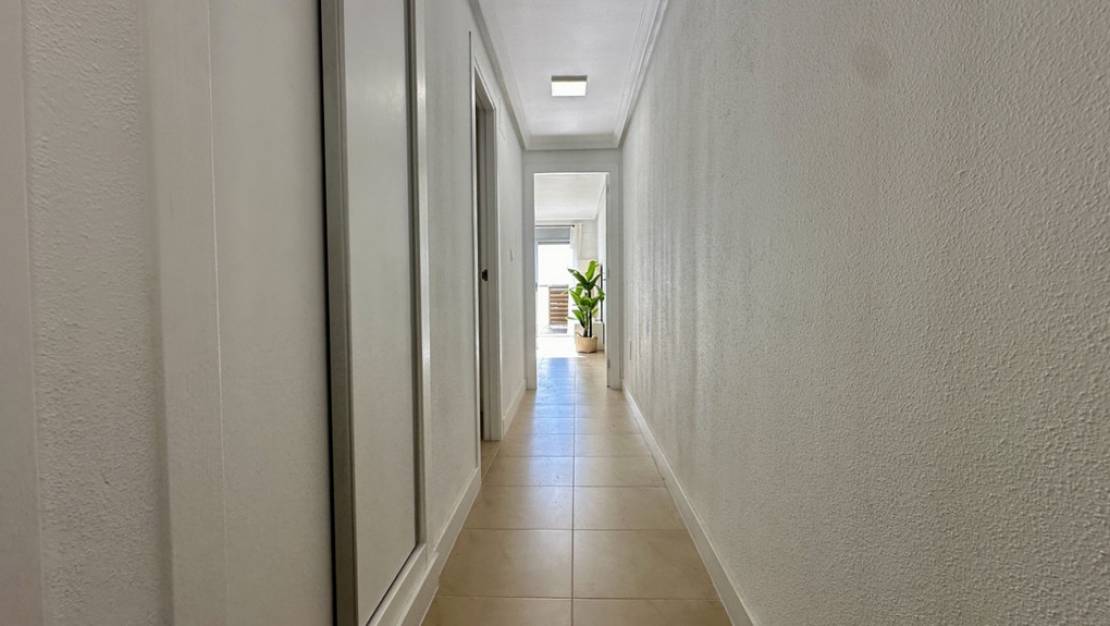 Venta - Apartment - Torrevieja - Torrevieja Centro