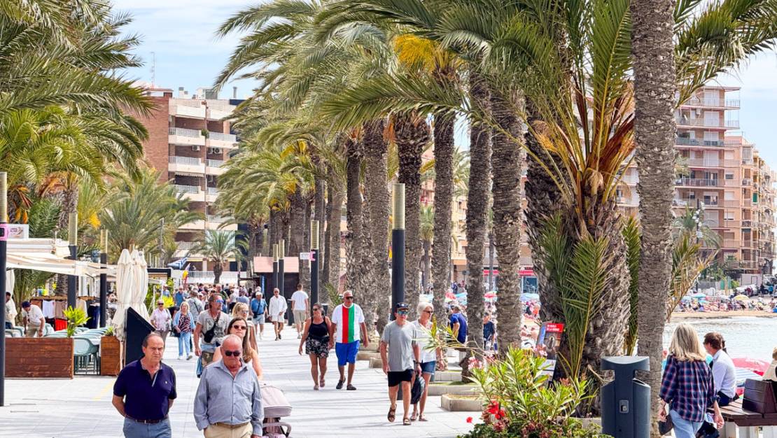 Venta - Apartment - Torrevieja - Torrevieja Centro