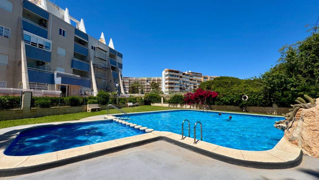Venta - Apartment - Torrevieja - Torrevieja Centro