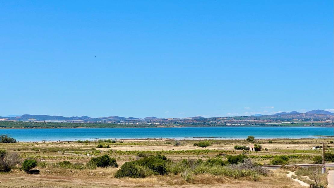 Venta - Apartment - Torrevieja - Torrevieja Centro