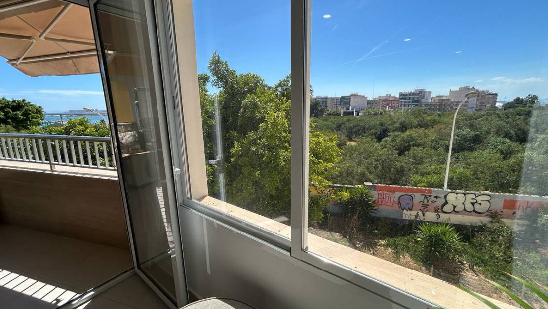 Venta - Apartment - Torrevieja - Torrevieja Centro