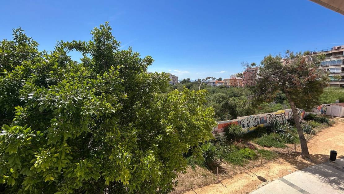 Venta - Apartment - Torrevieja - Torrevieja Centro