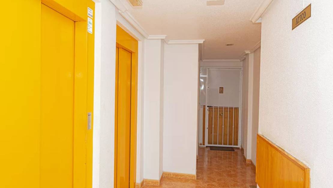Venta - Apartment - Torrevieja - Torrevieja Centro