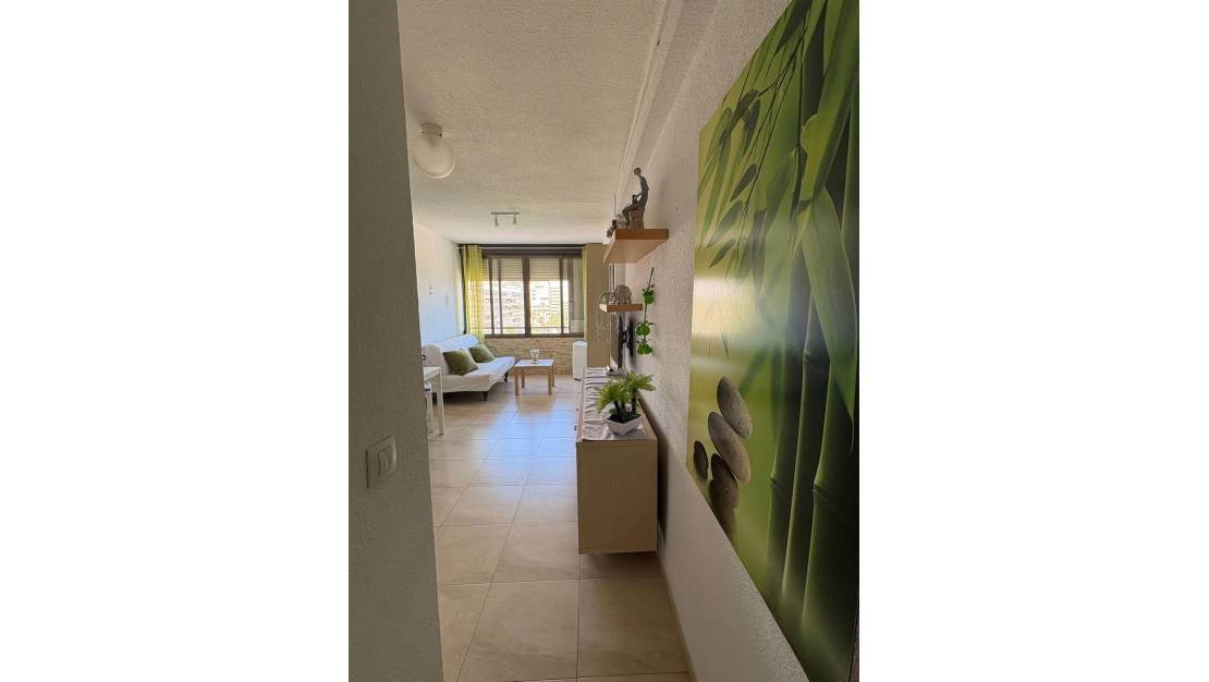 Venta - Apartment - Torrevieja - Torrevieja Centro