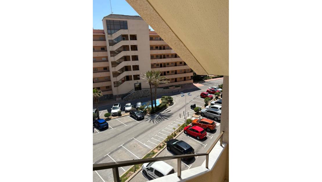 Venta - Apartment - Torrevieja - Torrevieja Centro