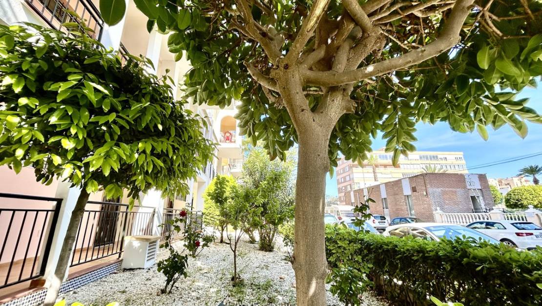 Venta - Apartment - Torrevieja - Torrevieja Centro
