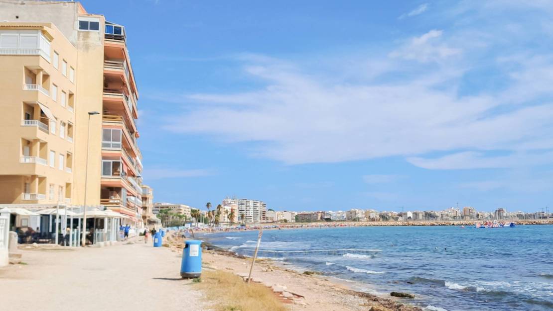 Venta - Apartment - Torrevieja - Torrevieja Centro