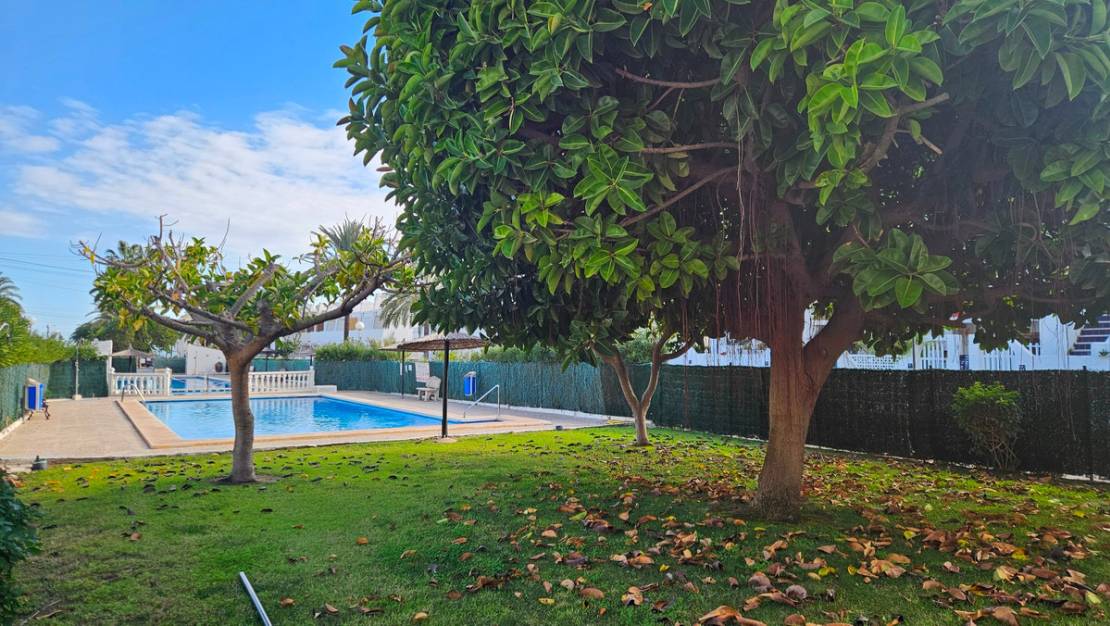 Venta - Apartment - Torrevieja - Torrevieja Centro