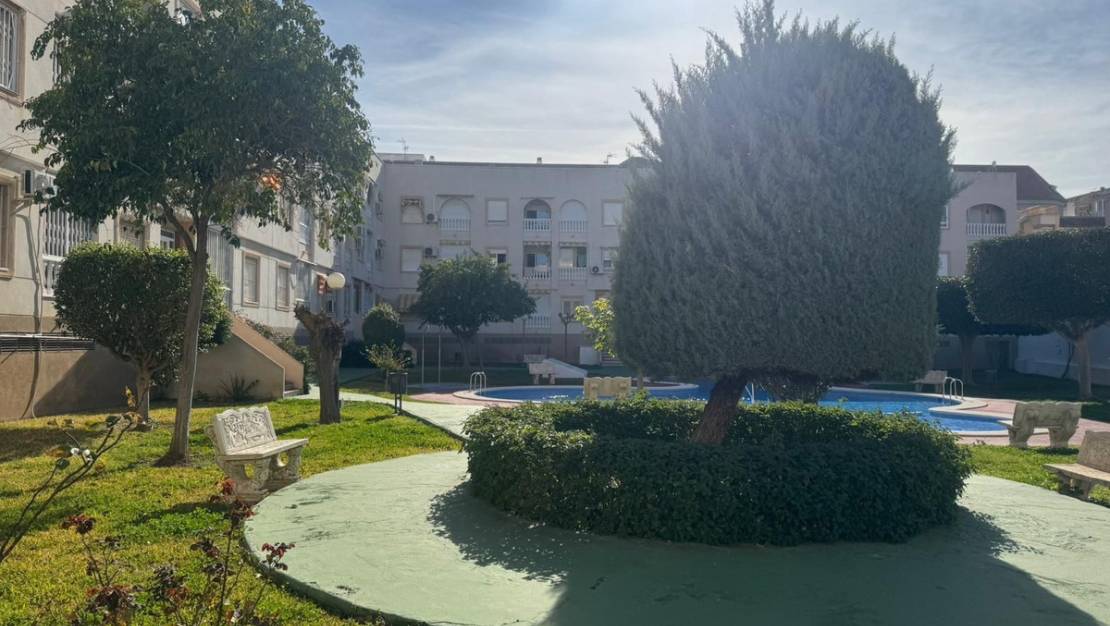 Venta - Apartment - Torrevieja - Torrevieja Centro