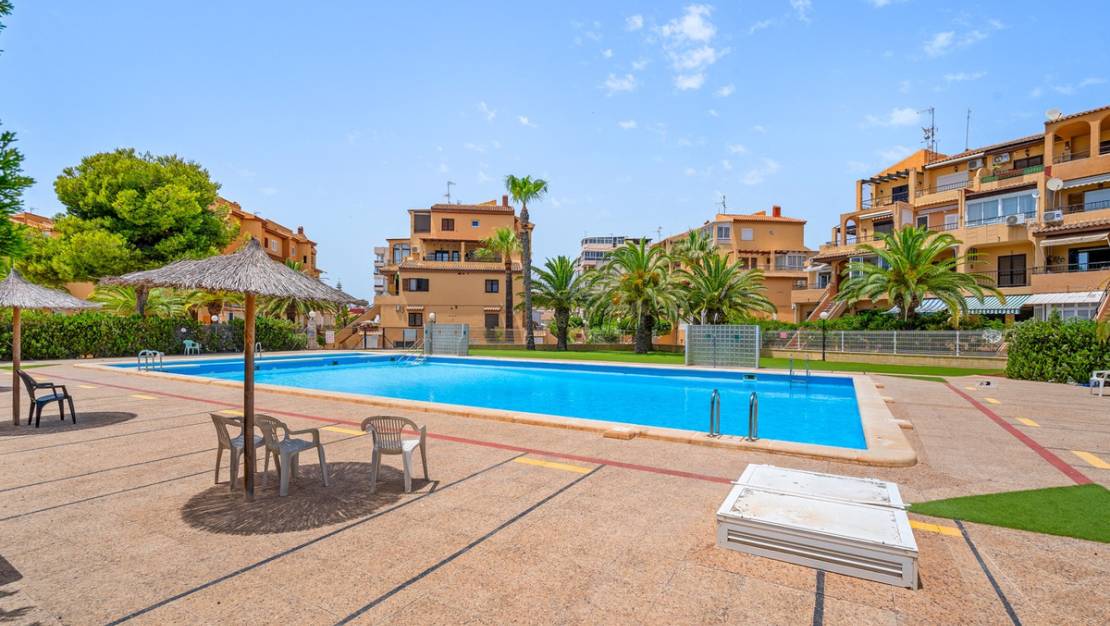 Venta - Apartment - Torrevieja - Torrevieja Centro
