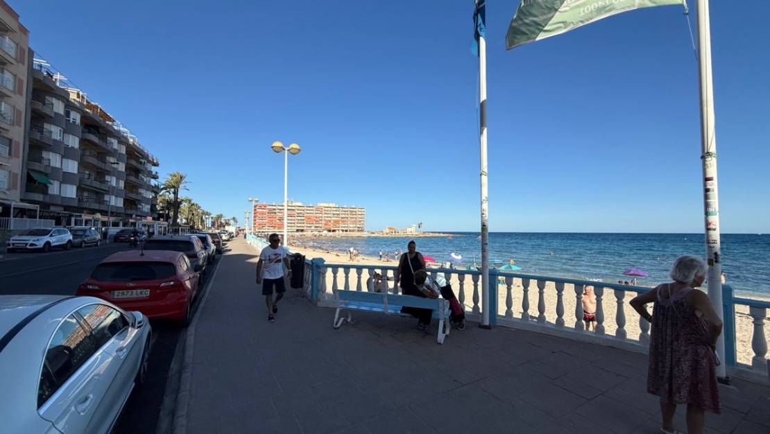 Venta - Apartment - Torrevieja - Torrevieja Centro