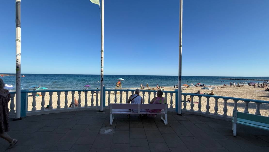 Venta - Apartment - Torrevieja - Torrevieja Centro