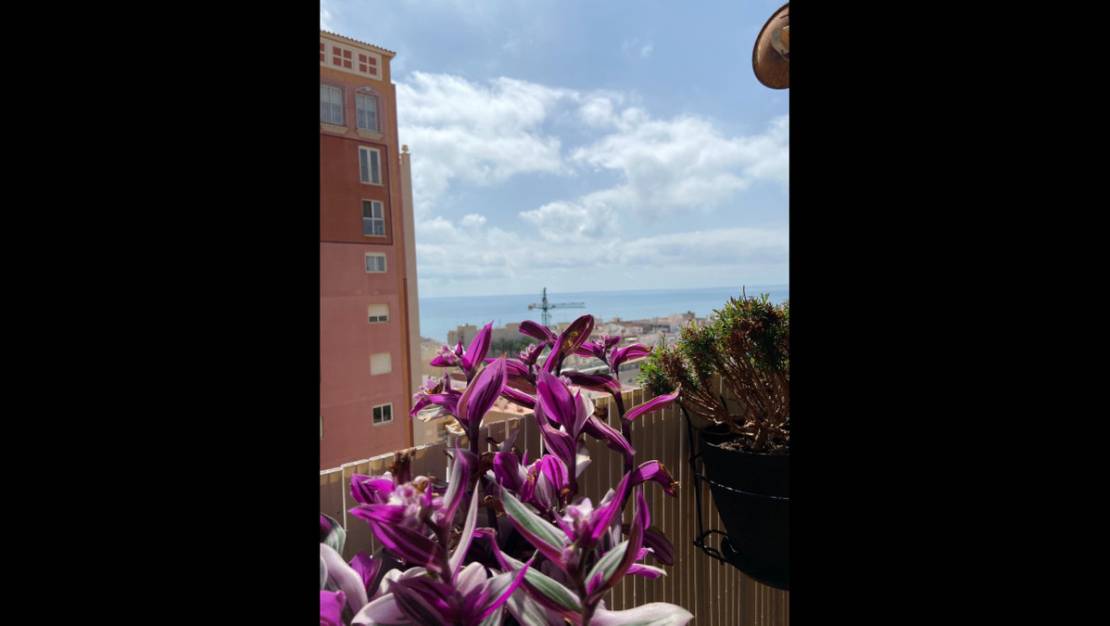 Venta - Apartment - Torrevieja - Torrevieja Centro