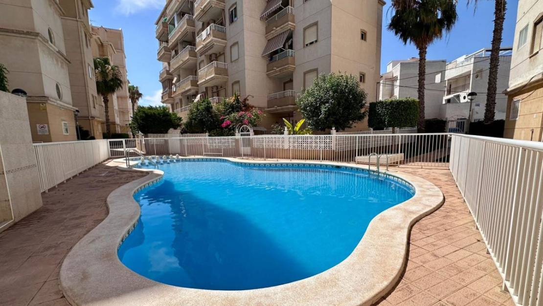 Venta - Apartment - Torrevieja - Torrevieja Centro