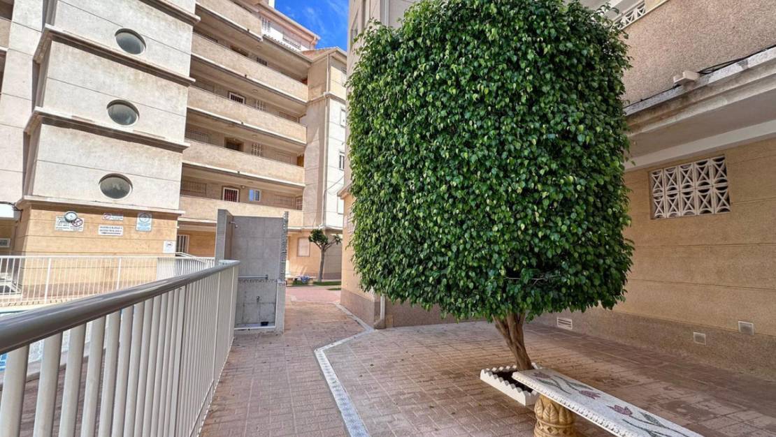 Venta - Apartment - Torrevieja - Torrevieja Centro