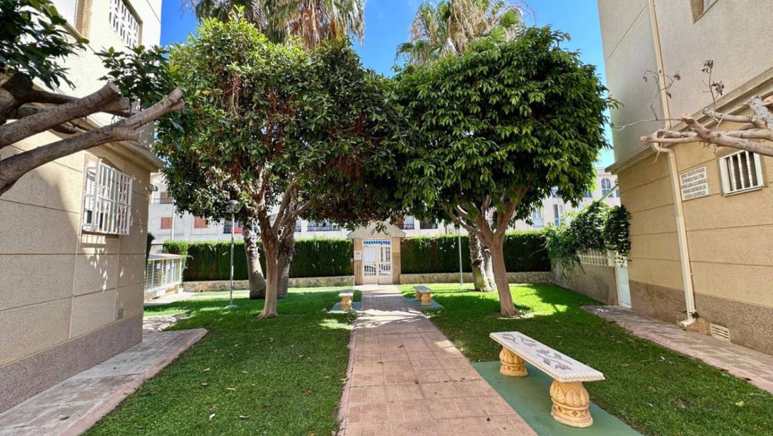 Venta - Apartment - Torrevieja - Torrevieja Centro