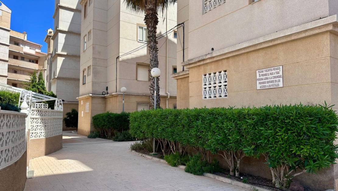 Venta - Apartment - Torrevieja - Torrevieja Centro