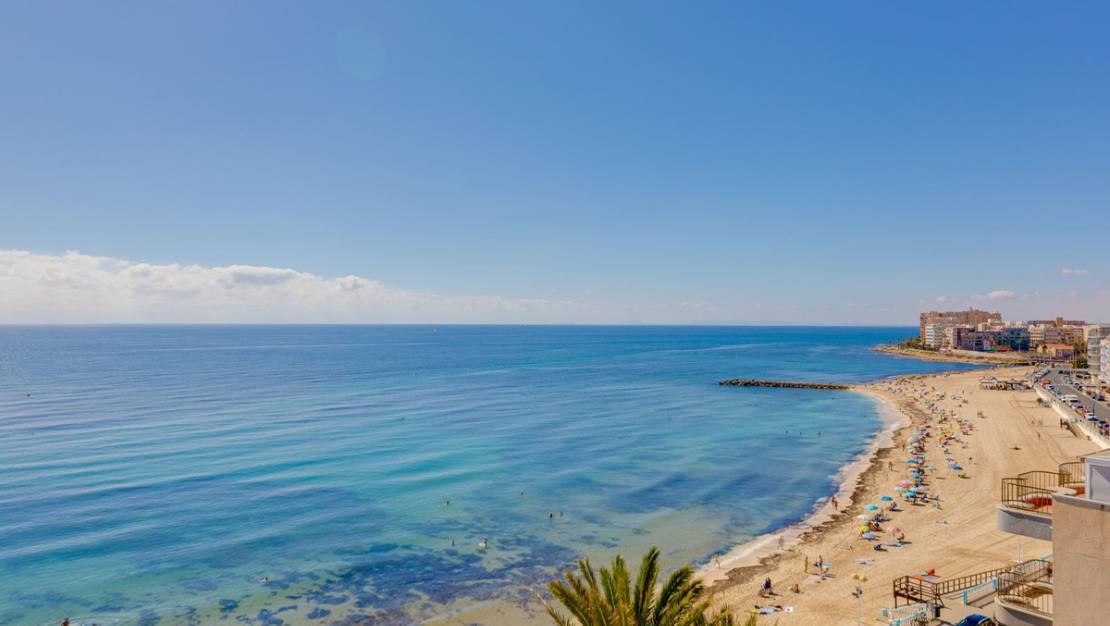 Venta - Apartment - Torrevieja - Torrevieja Centro