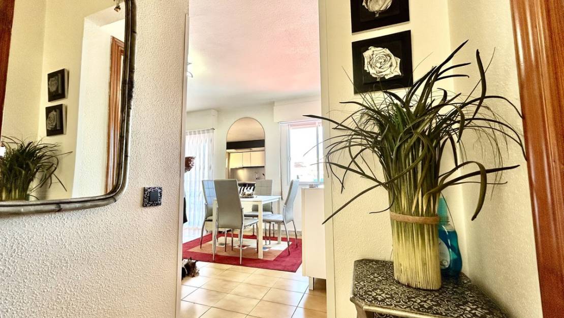 Venta - Apartment - Torrevieja - Torrevieja Centro