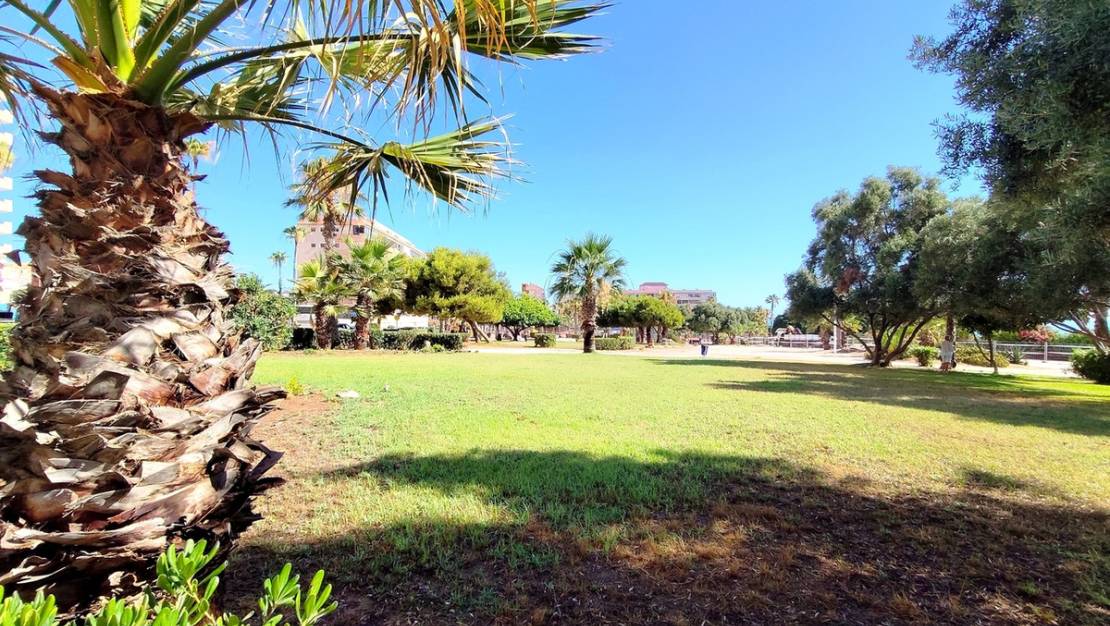 Venta - Apartment - Torrevieja - Torrevieja Centro