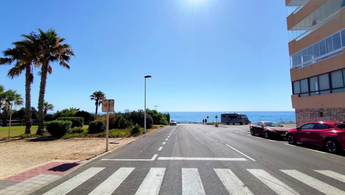 Venta - Apartment - Torrevieja - Torrevieja Centro