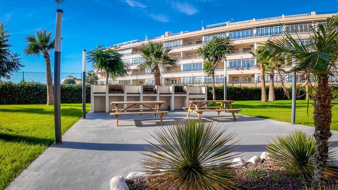 Venta - Apartment - Torrevieja - Torrevieja Centro