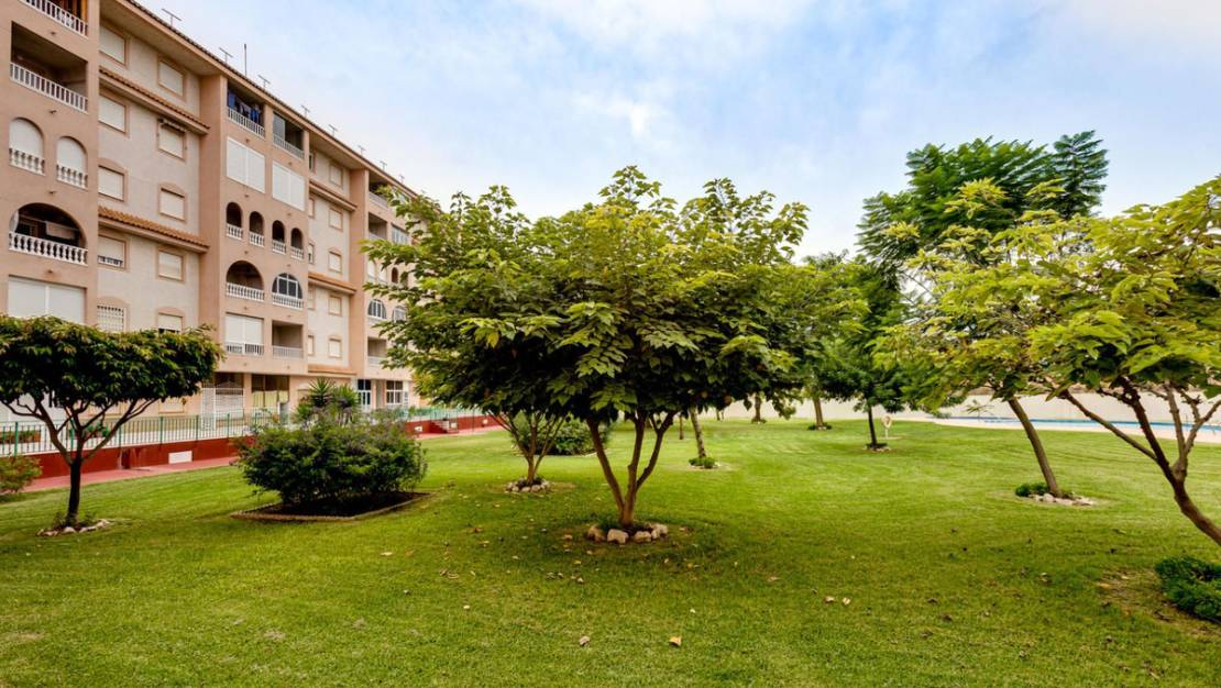 Venta - Apartment - Torrevieja - Torrevieja Centro