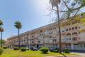 Venta - Apartment - Torrevieja - Torrevieja Centro