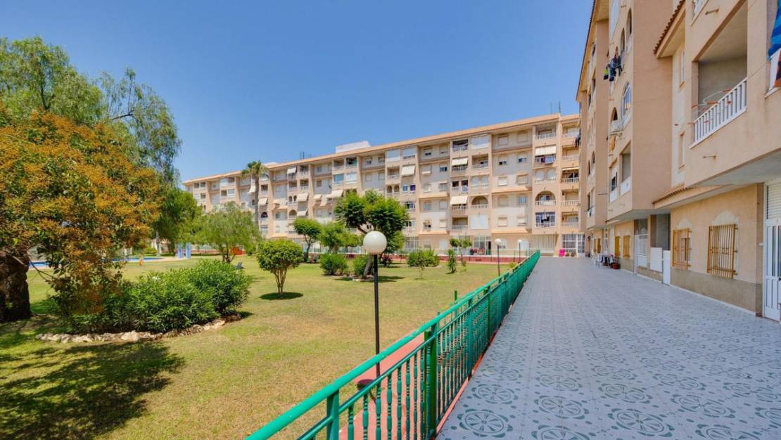 Venta - Apartment - Torrevieja - Torrevieja Centro
