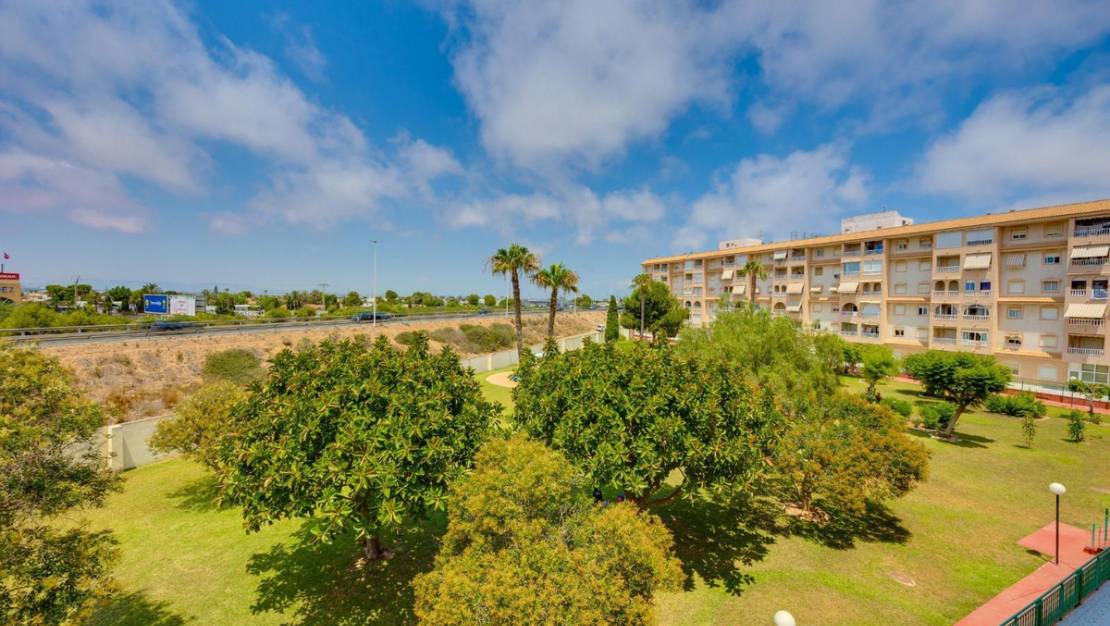 Venta - Apartment - Torrevieja - Torrevieja Centro