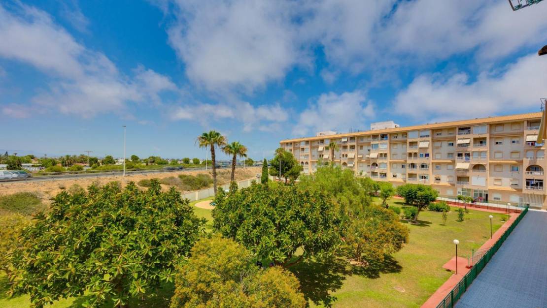 Venta - Apartment - Torrevieja - Torrevieja Centro