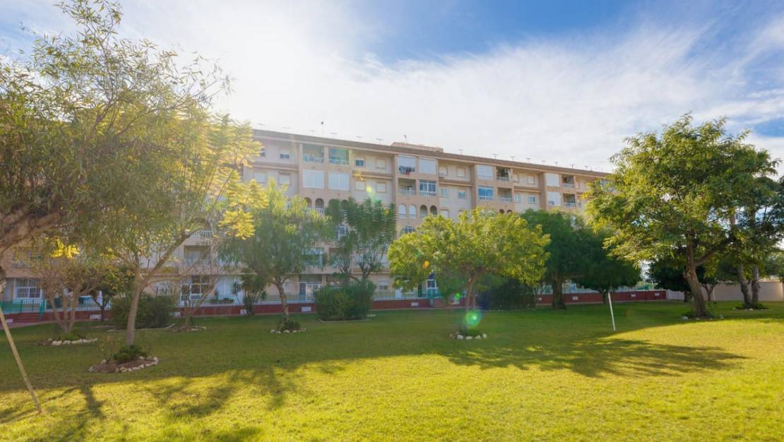 Venta - Apartment - Torrevieja - Torrevieja Centro