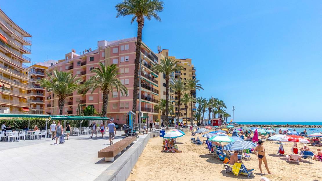 Venta - Apartment - Torrevieja - Torrevieja Centro