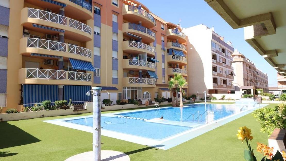 Venta - Apartment - Torrevieja - Torrevieja Centro