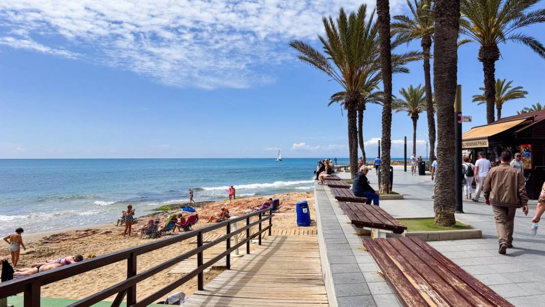 Venta - Apartment - Torrevieja - Torrevieja Centro