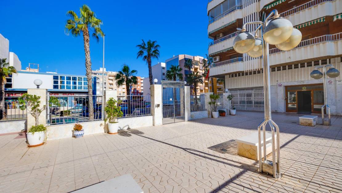 Venta - Apartment - Torrevieja - Torrevieja Centro