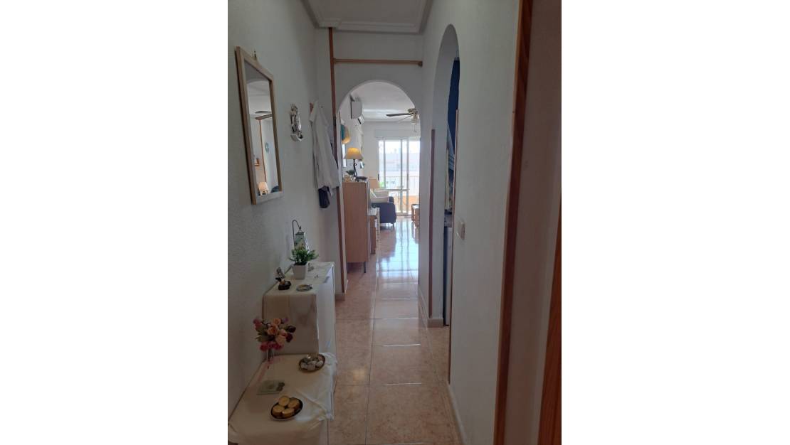 Venta - Apartment - Torrevieja - Torrevieja Centro