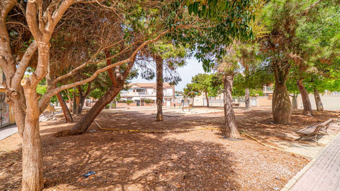 Venta - Apartment - Torrevieja - Torrevieja Centro