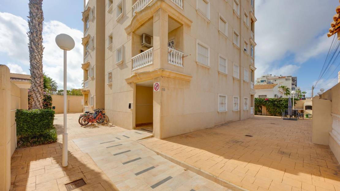 Venta - Apartment - Torrevieja - Torrevieja Centro
