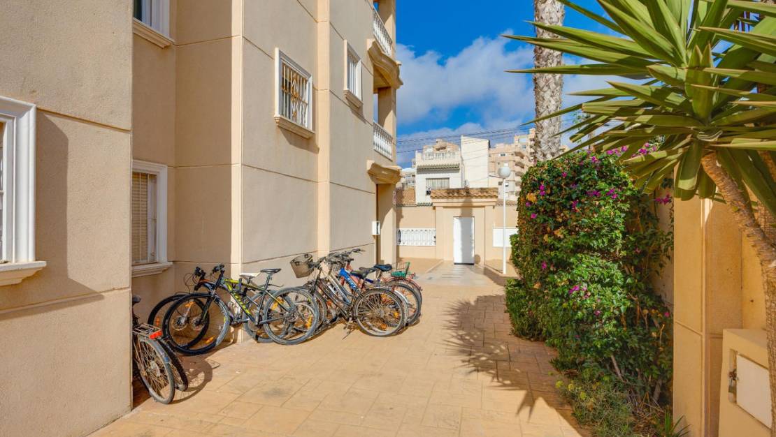 Venta - Apartment - Torrevieja - Torrevieja Centro